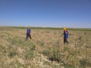 Kayıp engelli çocuk aranırken çukura düşen koyun kurtarıldı