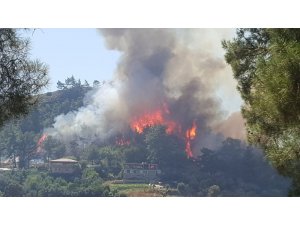 Manavgat’ta orman yangını (1)