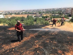 Adıyaman’da orman yangını