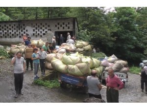 Çaykur Genel Müdür Vekili Alim: "Çayımıza sahip çıkmak zorundayız"