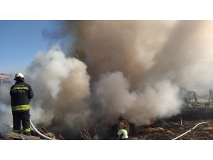 Sivas’ta çıkan yangında 4 inek telef oldu