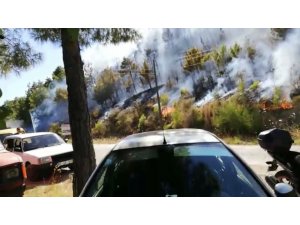 Antalya’daki orman yangını kontrol altına alındı