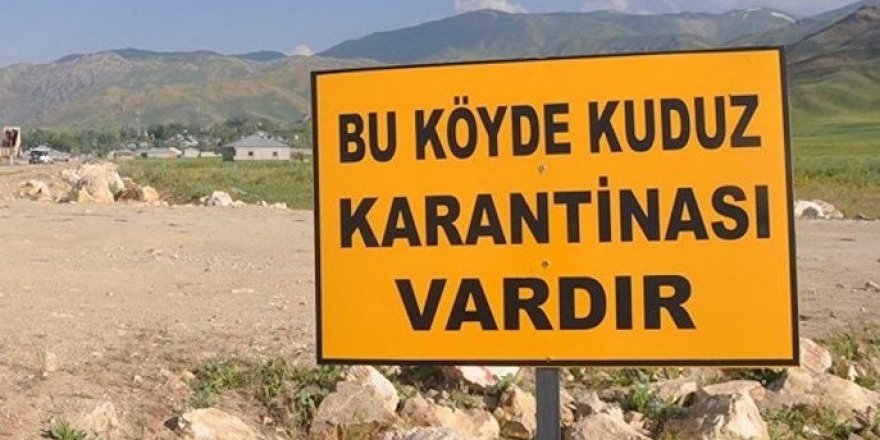 Konya'da 2 mahalleye kuduz karantinası