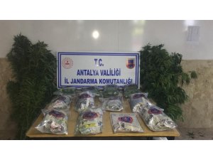 Antalya’da jandarmadan uyuşturucu operasyonu