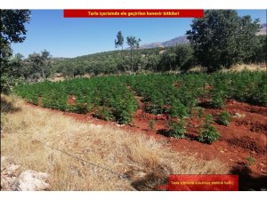 Diyarbakır’da terörün finans kaynağına büyük darbe