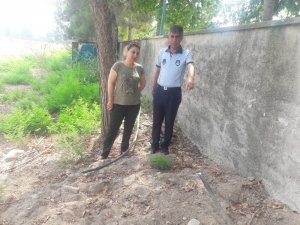 Hırsızlar onlarca köpeği susuz bıraktılar