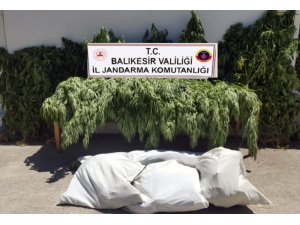 Balıkesir’de jandarma 23 kilo esrar ele geçirdi