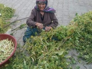 Beyşehir’in Akçabelen Çetmi Şeker Fasulyesi coğrafi işaret aldı