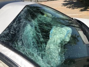 Kediye çarpmamak için takla attı: 1 yaralı