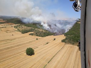 Çanakkale'de orman yangını
