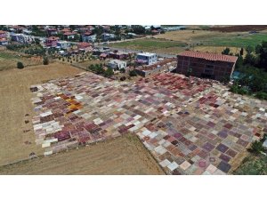 Turlarla geliyorlar, tarlada beğenip adresine gönderilmesini istiyorlar