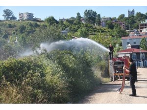 Sinop’ta ot yangını