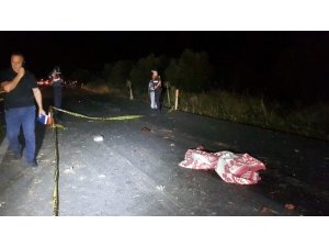 Karşı şeride geçen panelvan, tırla kafa kafaya çarpıştı: 2 ölü, 2 yaralı