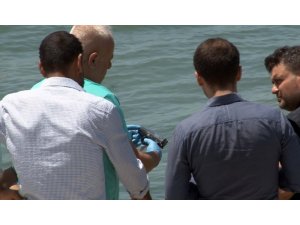 Beylikdüzü sahilinde tabanca bulundu