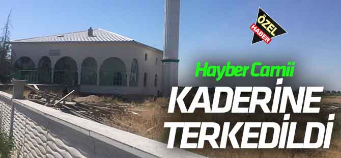 Hayber Camii kaderine terk edildi:  CEMAAT BÖCEKLERDEN TEDİRGİN