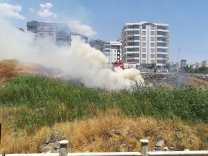 Şanlıurfa’da anız yangını