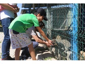 Hayvan severlerin barınak ziyareti