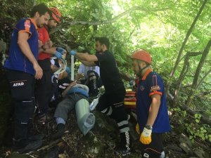 Uludağ’da ıhlamur toplarken ağaçtan düştü, yardımına kurtarma ekipleri koştu