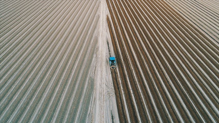 Tarıma uygun topraklar taşınarak korunacak
