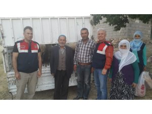 Hayvan hırsızları jandarmadan kaçamadı