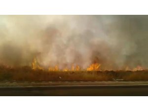 Diyarbakır’da tarladaki yangın hayatı felç etti