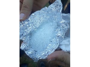 Uyuşturucu tacirleri, yunuslardan kaçamadı