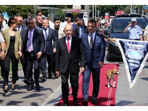 "Eski sisteme dönülme gibi bir talebimiz hiç olmadı"