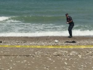 GÜNCELLEME - Karadeniz sahilinde deniz mayını tetikleyicisi bulundu