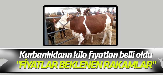 Kurbanlıkların kilo fiyatları belli oldu