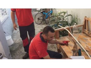 Çatıdan bacaya düşen yavru kedi kurtarıldı