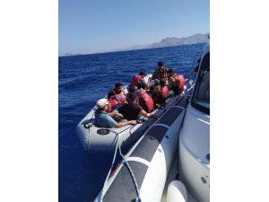 Bodrum’da 11 göçmen yakalandı