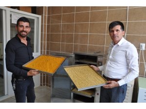 Afyonkarahisar Taşoluk’tan Avrupa’ya polen ihracatı