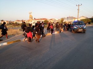 Ayvalık’ta 50 Afrikalı mülteci yakalandı