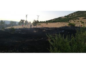 Yangın  ormana sıçramadan söndürüldü