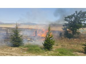 Isparta’da arazi yangınında hububat ekili alan yandı