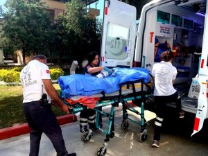 Sarıgöl’de arı sokma vakaları: 1 ölü, 1  yaralı