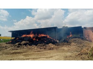 Çiftlikte 5 bin balya saman kül oldu