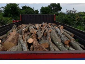 Ormandan kaçak odun kesenler jandarmaya yakalandı