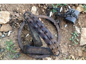 Ayağı kapana sıkışan köpeğin imdadına itfaiye yetişti