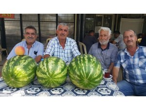 Ödemiş karpuzunun tadı var, alıcısı yok