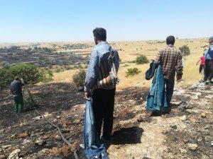 İtfaiyenin erken müdahalesi ekinlerin yanmasını önledi