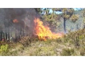 Sultanbeyli’de Teferrüç ormanında yangın çıktı. Yangına helikopterle müdahale ediliyor.