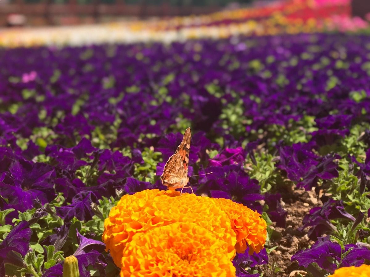 Selçuklu'da fotoğraf yarışması sonuçlandı