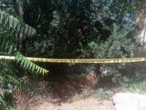 Hastane randevusuna gitmeyince öldüğü ortaya çıktı