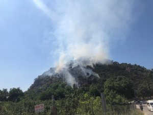 Uludağ eteklerinde orman yangını