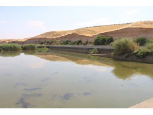 Adıyaman'da atık su havuzuna düşen çocuk boğuldu