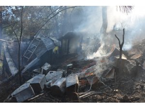 Uludağ’ın etekleri alevler teslim