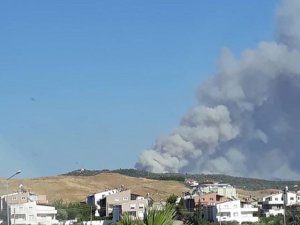 Seferihisar’da orman yangını