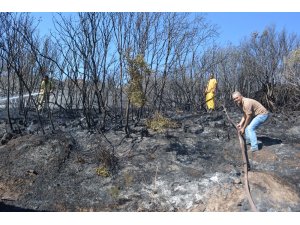 Ayvalık’ta orman yangını