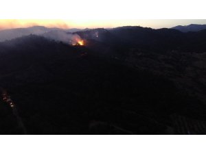 İzmir’deki orman yangınını söndürme çalışmaları sürüyor